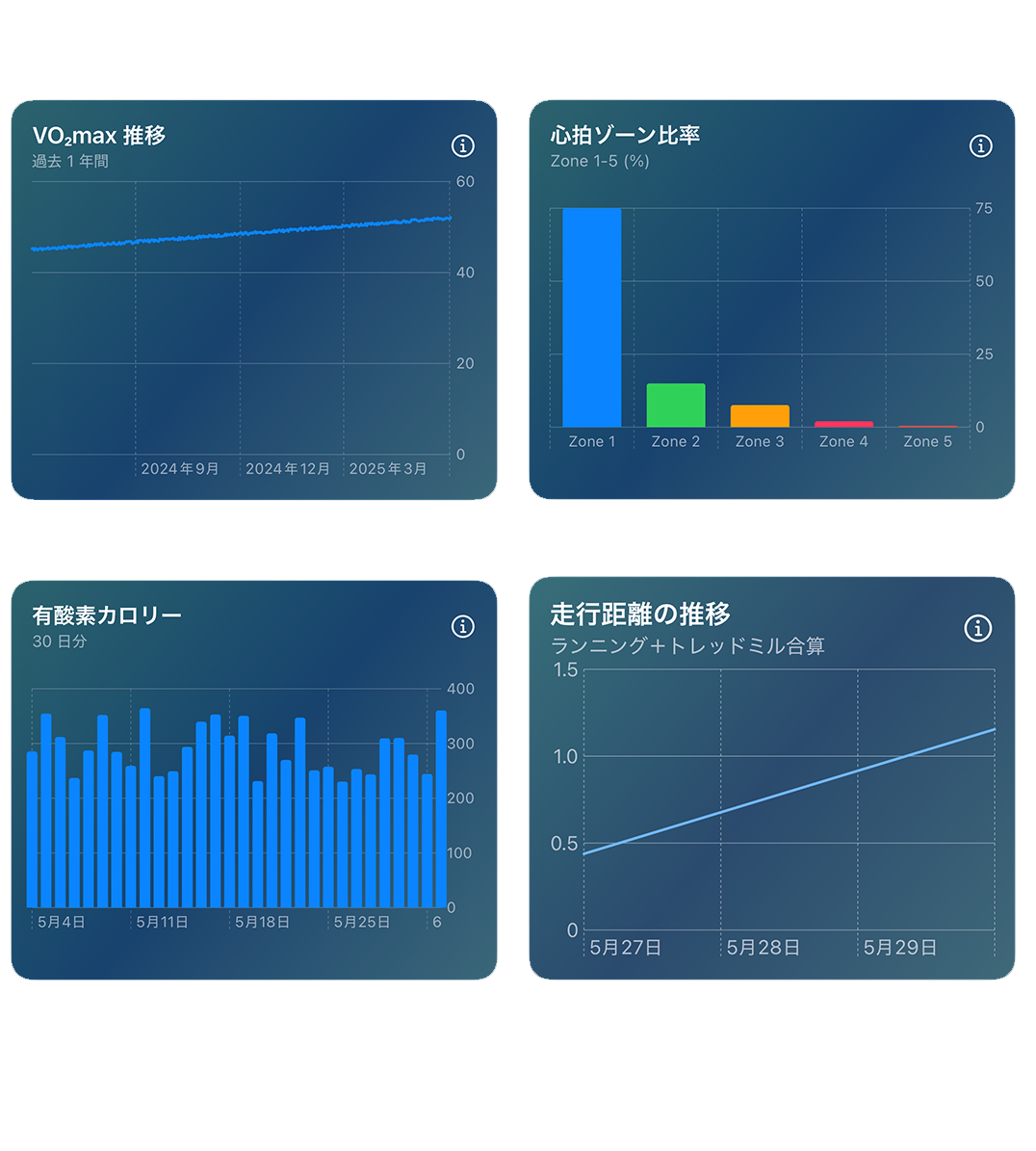 HealthKit icon