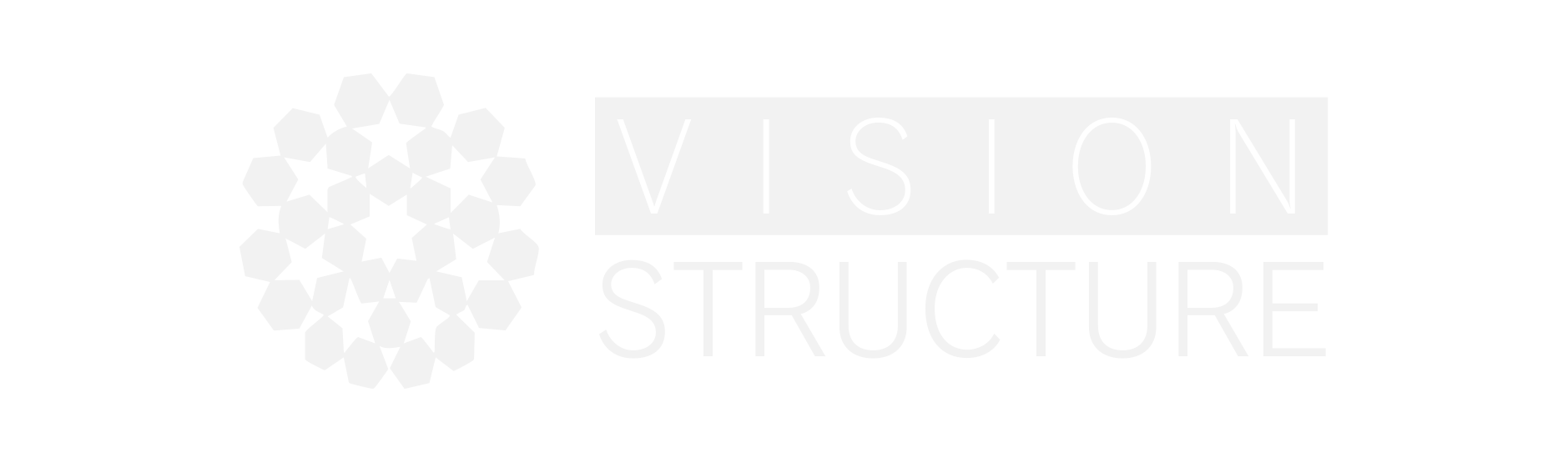 Vision Structure ロゴ
